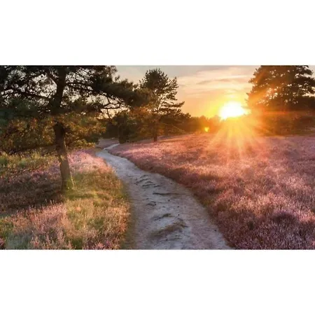 Forest W Private Garden Casa vacanze Ermelo