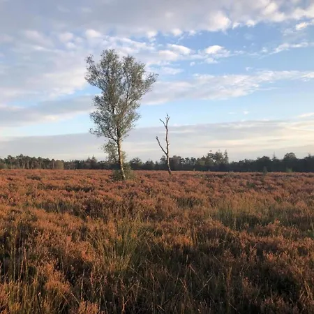 Forest W Private Garden * Ermelo