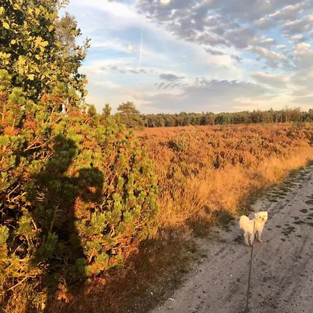 Casa vacanze Forest W Private Garden