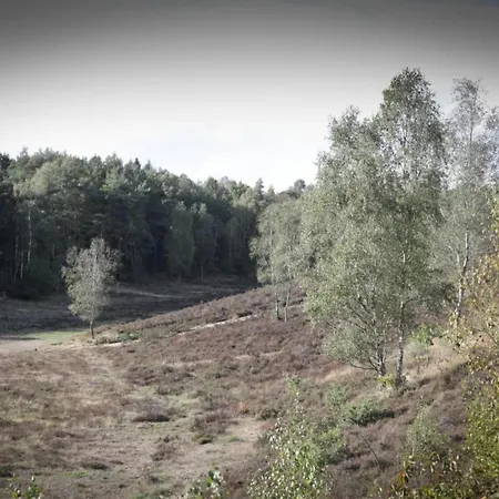 Forest W Private Garden * Ermelo