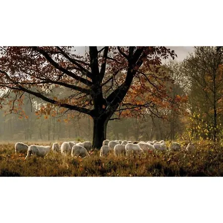 Forest W Private Garden *