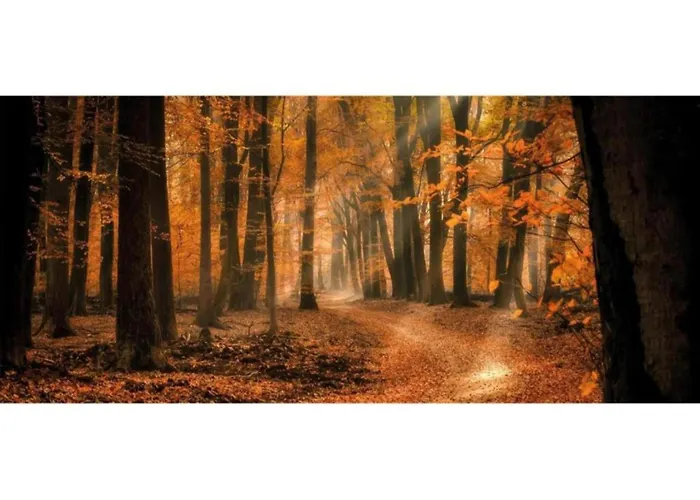 Forest W Private Garden إرميلو