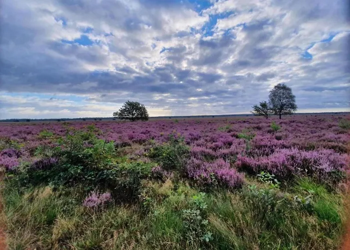 Forest W Private Garden بيت للعطل إرميلو