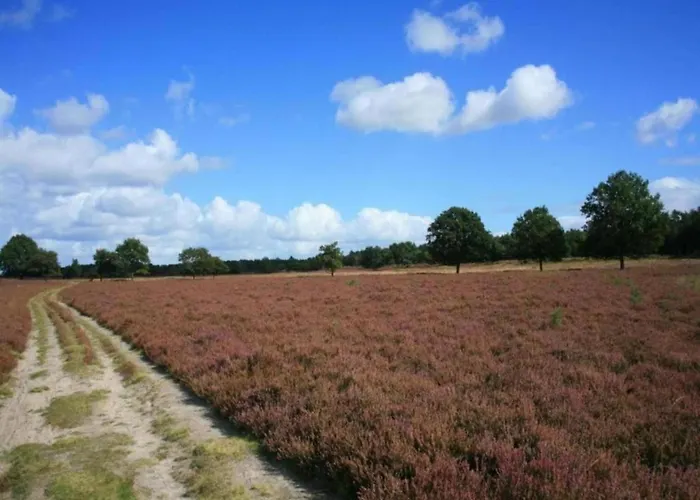 Forest W Private Garden إرميلو