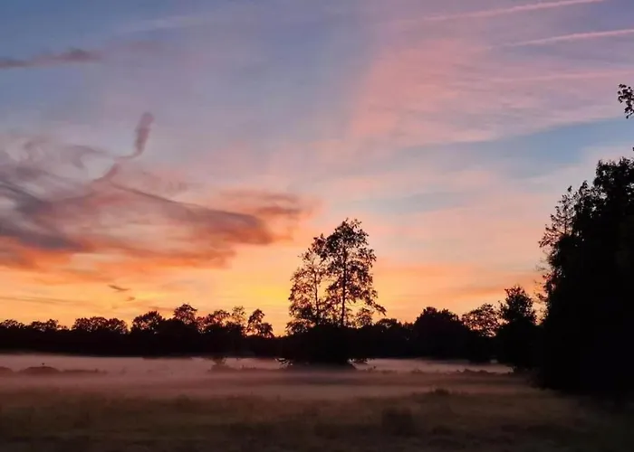 Forest W Private Garden
