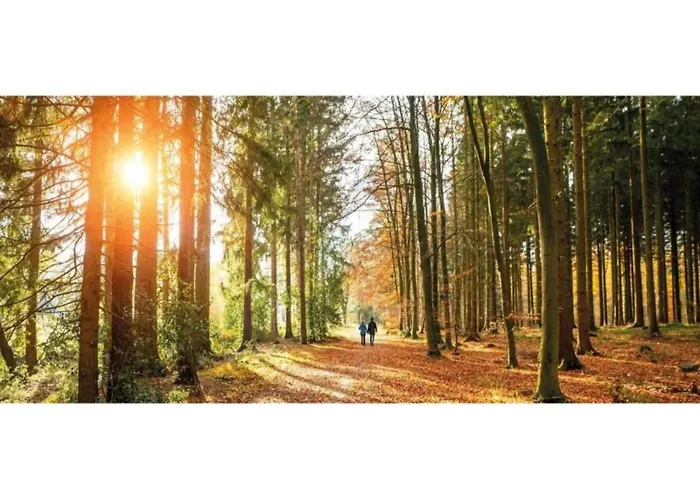 Forest W Private Garden بيت للعطل *