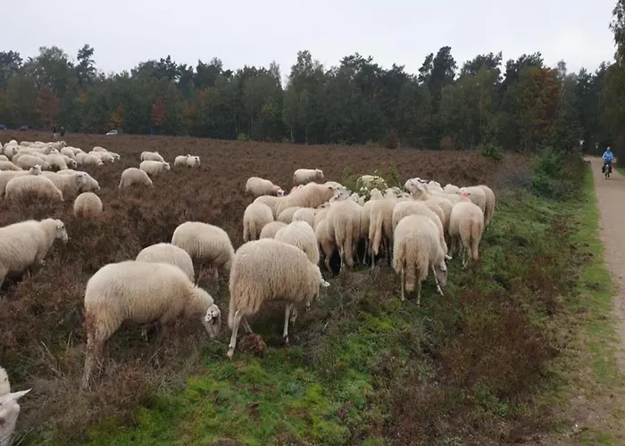 Forest W Private Garden
