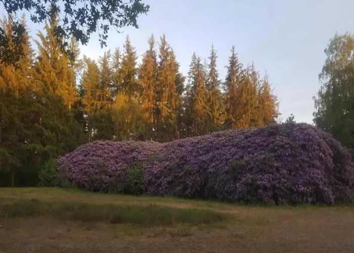 Forest W Private Garden بيت للعطل