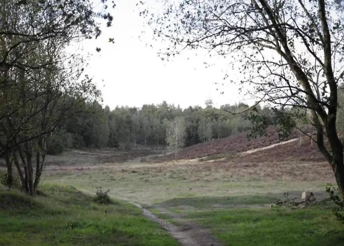 Forest W Private Garden إرميلو