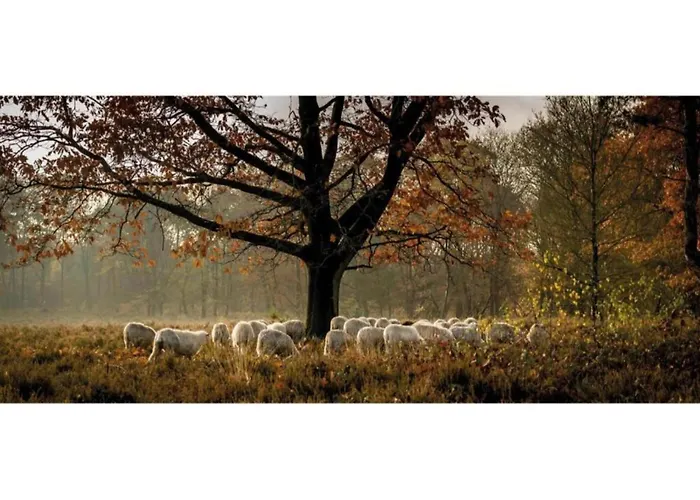 Forest W Private Garden *