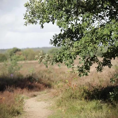 Forest W Private Garden Prázdninový dům