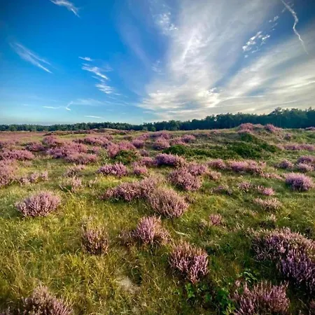 Prázdninový dům Forest W Private Garden Ermelo