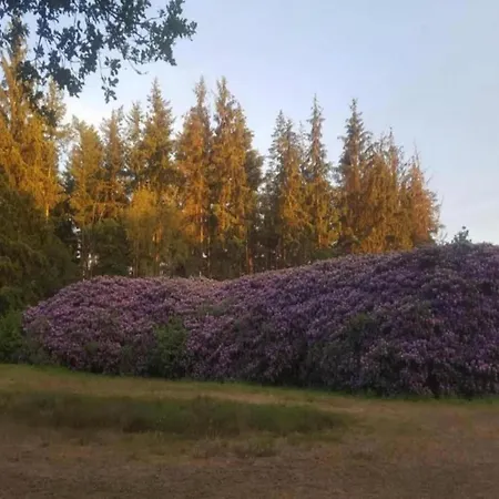 Forest W Private Garden Prázdninový dům