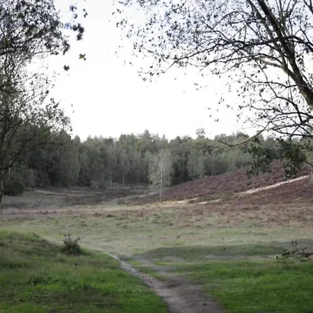 Forest W Private Garden Ermelo